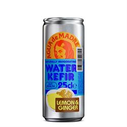 Agua De Madre Agua de Madre Lemon & Ginger Water Kefir 250ml Can