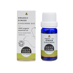 Aqua Oleum Organic Ginger Essential Oil 10ml