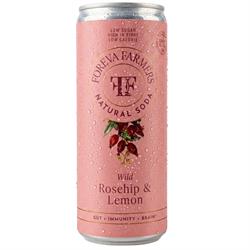 Foreva Farmers FOREVA FARMERS ROSEHIP & LEMON PREBIOTIC SODA 250ML.