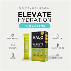 Halo Health and Beauty ELEVATE ELECTROLYTES +CREATINE Lemon & Lime 7 Sachets