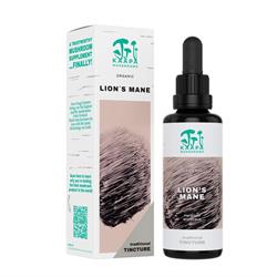 Kaapa Mushrooms Lion's Mane Mushroom Organic Extract Tincture