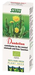 Salus Floradix Dandelion Organic Fresh Plant Juice 200ml