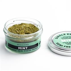 Seggiano Seggiano Organic Semi Fresh Mint 18g