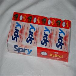 Spry Cinnamon Xylitol Gum - 10 pieces