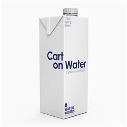 Water Works Water Works Carton Water 1Ltr