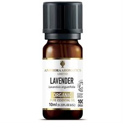 Amphora Aromatics Lavender Organic French Fine Essential Oil 10ml