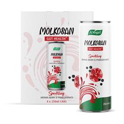 A Vogel A.Vogel Molkosan Sparkling 4 x 250ml