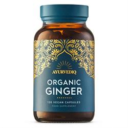 Ayurvediq Wellness Organic Ginger Caps - 120's