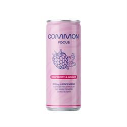 Common Common Sparkling Raspberry & Ginger Nootropics 330ml