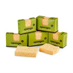 Ecoliving Compostable UK Sponge 2 pack 1 wavy 1 large