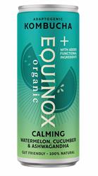 Equinox Kombucha Equinox+ Organic Watermelon & Cucumber Calming Kombucha 250ml can
