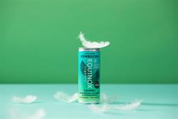 Equinox Kombucha Sample packs x 50 Equinox