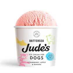 Judes Ice Cream Jude's Ice Cream for Dogs 90ml