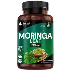 New Leaf Products Moringa Leaf Capsules - Pure Extract & Powder 2000mg 120 capsules