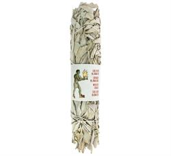 Tierra Zen California White Sage Smudging Bundle 22-25 cm
