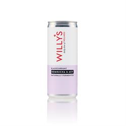 Willys Willy's Blackcurrant Kombucha & ACV 250ml