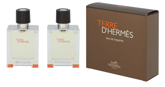 Hermes Terre D'Hermes Duo Set 100 ml