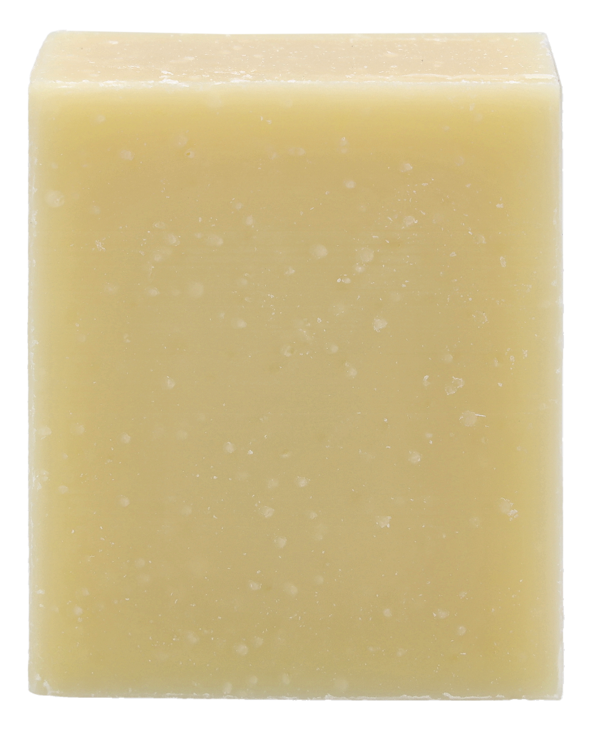 Christophe Robin Hydrating Shampoo Bar 100 g