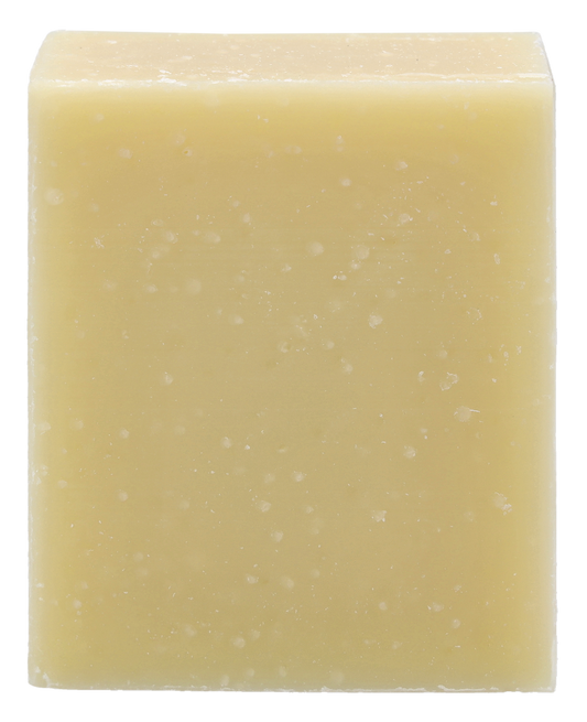 Christophe Robin Hydrating Shampoo Bar 100 g